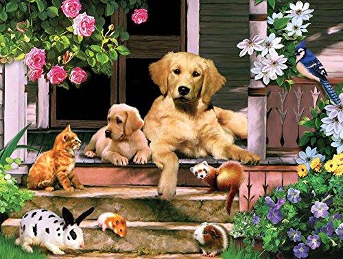 Summer on the Porch a 300-Piece Jigsaw Puzzle by Sunsout Inc.
