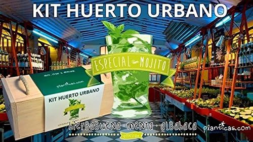 Kit de Huerto Urbano: Edición Especial Mojito: Amazon.es: Jardín