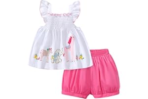 HILEELANG Toddler Girl Summer Short Outfit Sets Cotton Short Sleeve Tops Tees Shorts Clothing Sets