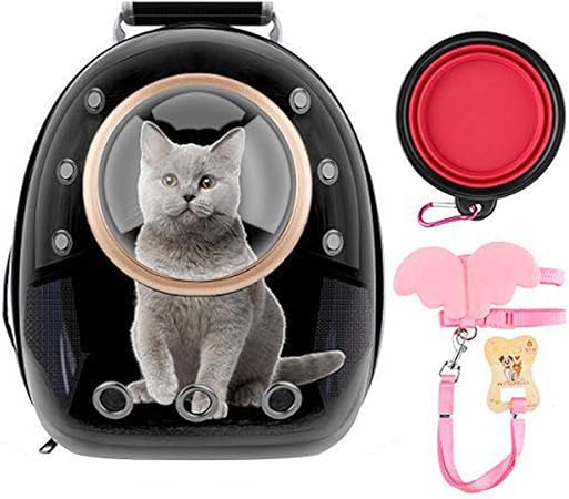 cat bubble backpack amazon
