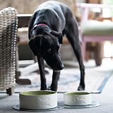 Petface Ceramic Dog Bowl Bone Design Cream Green 15 cm Pack 1 view 6