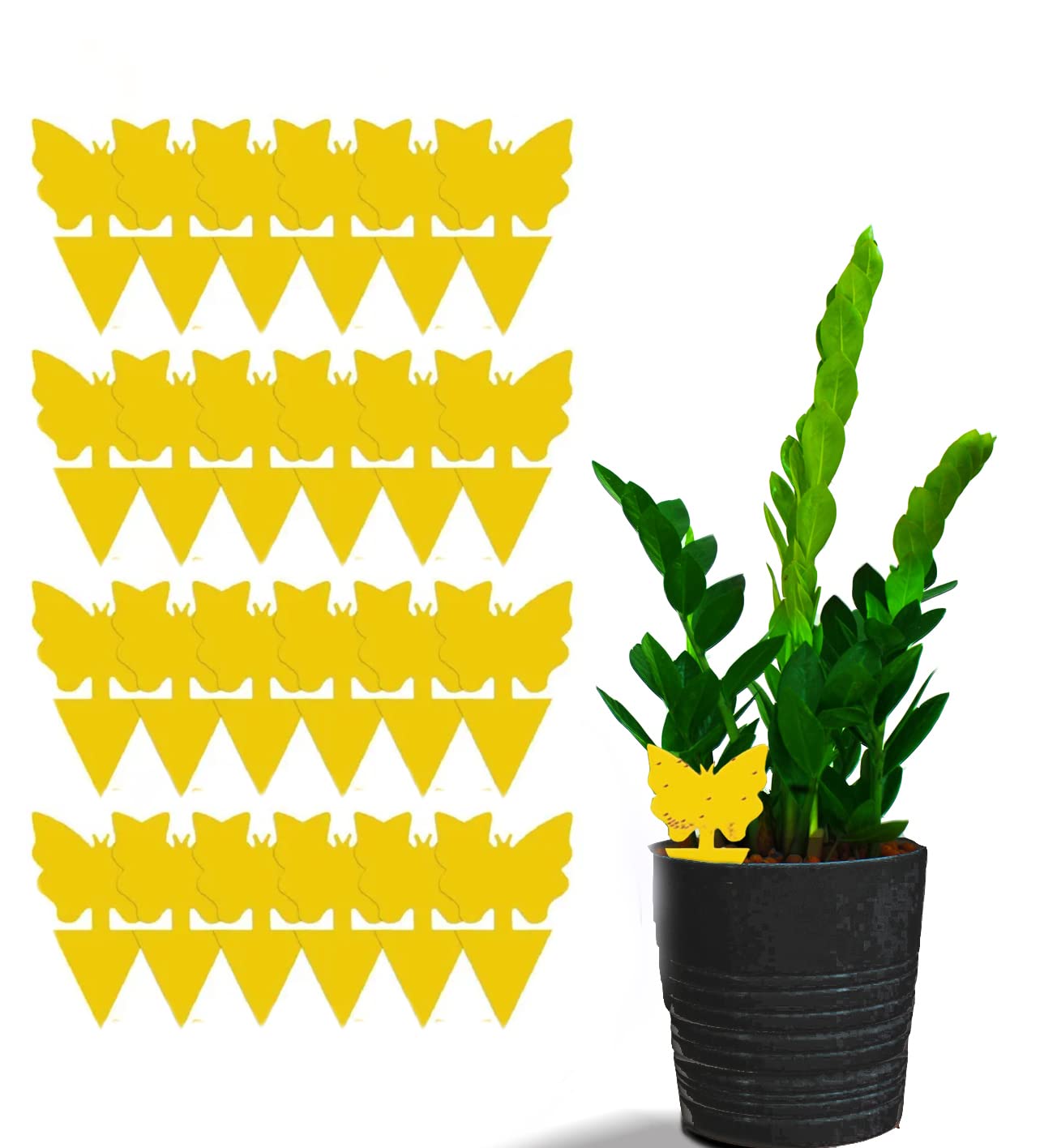 24 Fruit Fly & Fungus Gnat Traps, Double Sided Yellow Sticky Bug Insect Killer for Indoor and Outdoor Plants by unel (24)