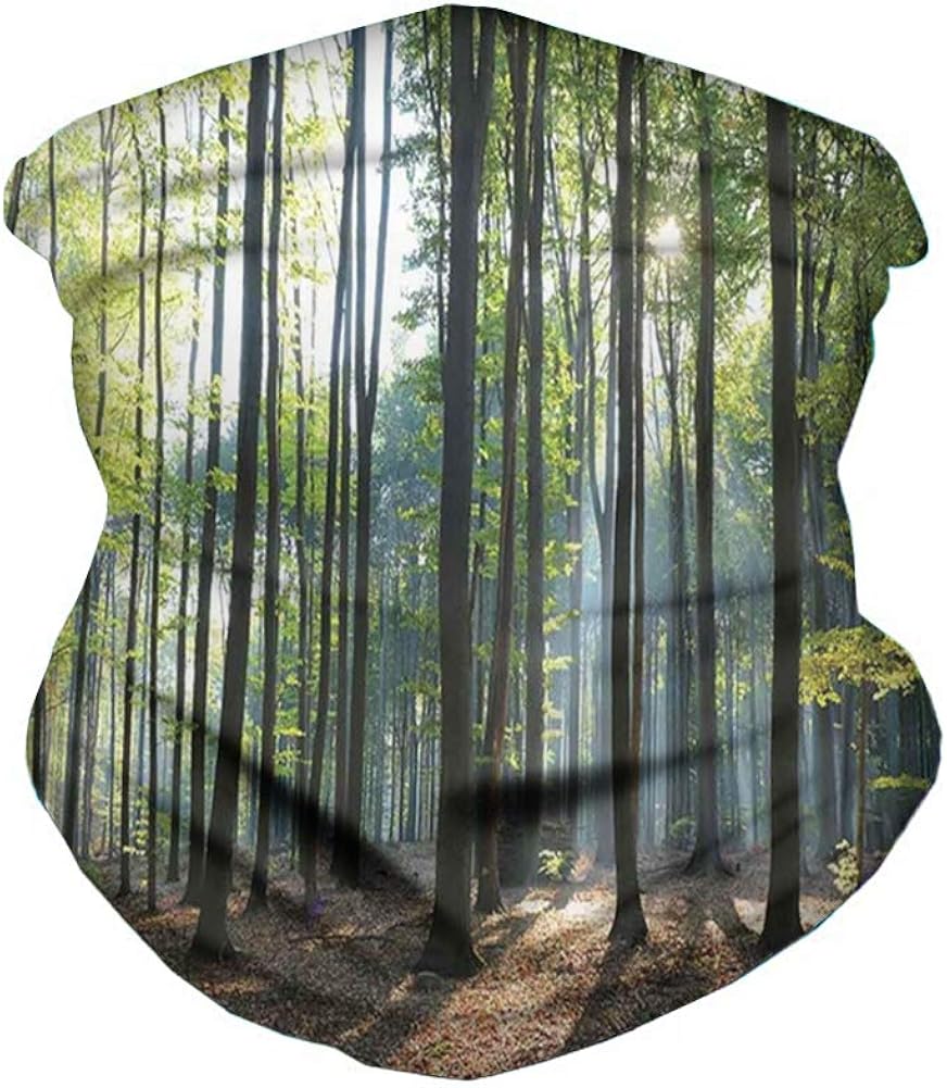 Sunbeams Rays Shadows in The Windproof Mask Bandanas for Outdoors, Festivals, Sports