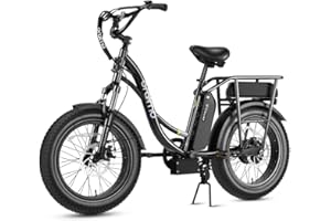 Oraimo Electric Bike for Adults, 750W Motor (Peak 1000W) 20" x 4.0 Fat Tire with Dual Shock Absorber, Max 48V 20.8Ah Dual Removable Battery, Ebike with 4A 3H Fast Charge, Complies to ANSI/CAN/UL2849