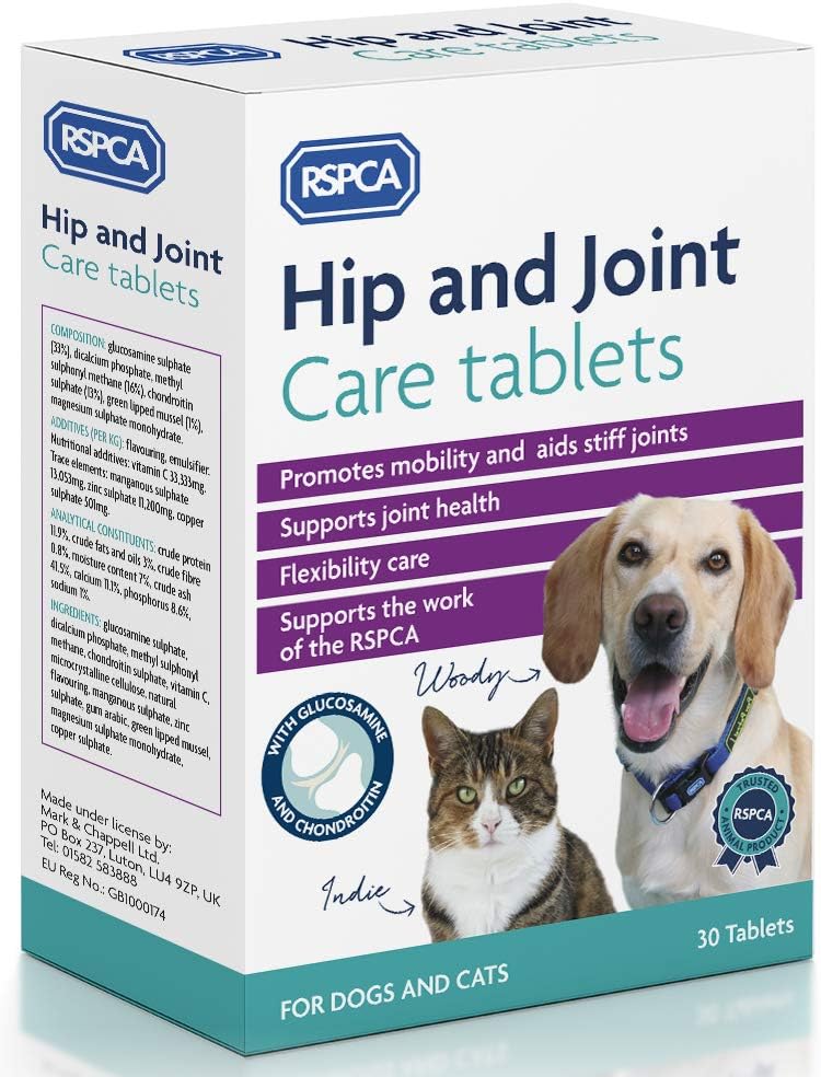 used dog training equipment for sale