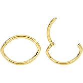 365 Sleepers 316L Surgical Steel Hypoallergenic 16G Oval Septum Jewelry Hinged Segment Ring Body Piercing Hoop Lip Rings Helix Cartilage Rook Sleeper Earrings 8mm – 10mm