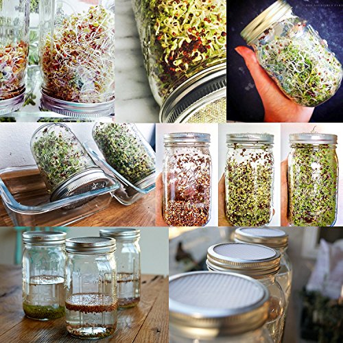6 Pack Sprouting Lids for Wide Mouth Mason Jars Canning Jars,304 Stainless Steel Sprouting Jar Lid Kit Sprout Generator… 7 6 Pack Sprouting Lids for Wide Mouth Mason Jars Canning Jars,304 Stainless Steel Sprouting Jar Lid Kit Sprout Generator… - Image 8