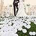 BESKIT Artificial Silk Rose Petals for Romantic Night, Wedding, Party, Anniversary Flower Decorations (Ivory White, 3000 PCS)