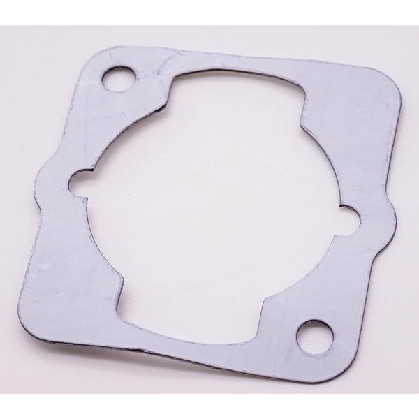 Amazon.com: Genuine Echo Cylinder Gasket FITS SRM-225 PAS-225 GT 