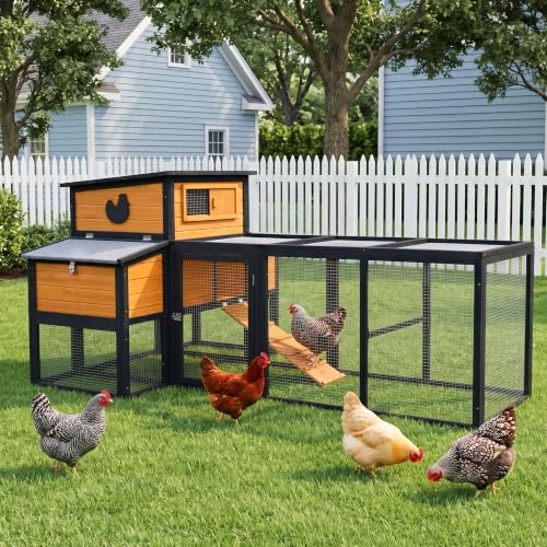 RUNSHED Wooden Chicken Coop