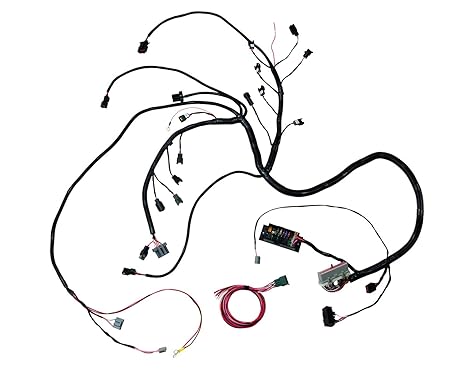 Ford 5 0 Efi Wiring Harnes - Wiring Diagram