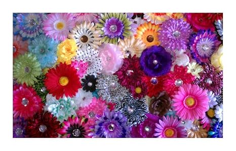 Boutique Cutie 20 Wholesale Flower Hair Clips Various Styles & Sizes (641752305502)