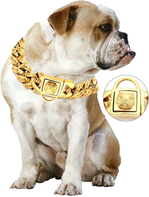 Yasover Gold Chain Dog Collar Pet Training Collars