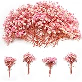 3500+ Mini Pink Dried Baby Breath Flowers, 70pcs Gypsophila Bouquet for DIY | Natural bulk flowers for gifts, wedding decor, card making, vase filler and wreath floral crafts, 6 inch, 70 pieces