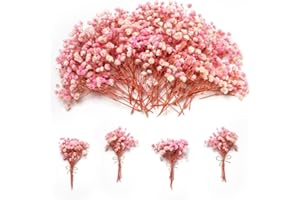 GLICRILI 1500+ Mini Pink Dried Babys Breath Flowers, 50pcs Baby Breath Bouquet, 6'' Natural Gypsophila Bulk, Dried Flowers for Gifts, DIY Crafts, Wedding Decor, Card Making, Vase Filler, Wreath Floral