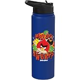 Angry Birds Why So Angry? Stainless Steel Insulated Water Bottle