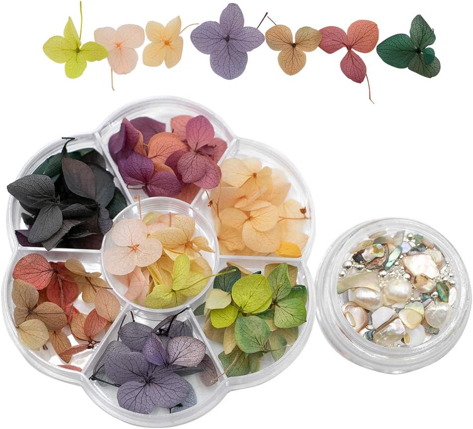 Nail Dried Flower Natural Dried Flowers Mix 3D Nail Art Crushed Seashell for Nail Art Slice DIY 3D Manicure Decor Accessories Beauty Salon Nail Decals Kits