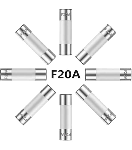 ALLECIN 5x20MM 1A 250V Slow Blow Ceramic Fuses 0.2 x 0.78 Inch 1