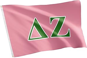 Desert Cactus Delta Zeta Flag letter Sorority Greek Banner Large 3x5 feet Sign Decor dz