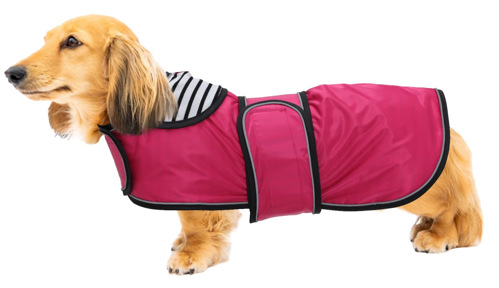 Geyecete Dog Jacket Adjustable Lightweight Dachshund Raincoat with Reflective Straps and Harness Hole Best Gift for Dachshund -Pink -L