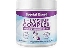 SPECIAL BREED L-Lysine for Cats and Kittens – Cat Supplement for Immune, Respiratory & Eye Support – Lysine Powder with Prebiotics, Bone Broth, Krill, & DMG for Sneezing, Vision, Immunity – 120 Scoops