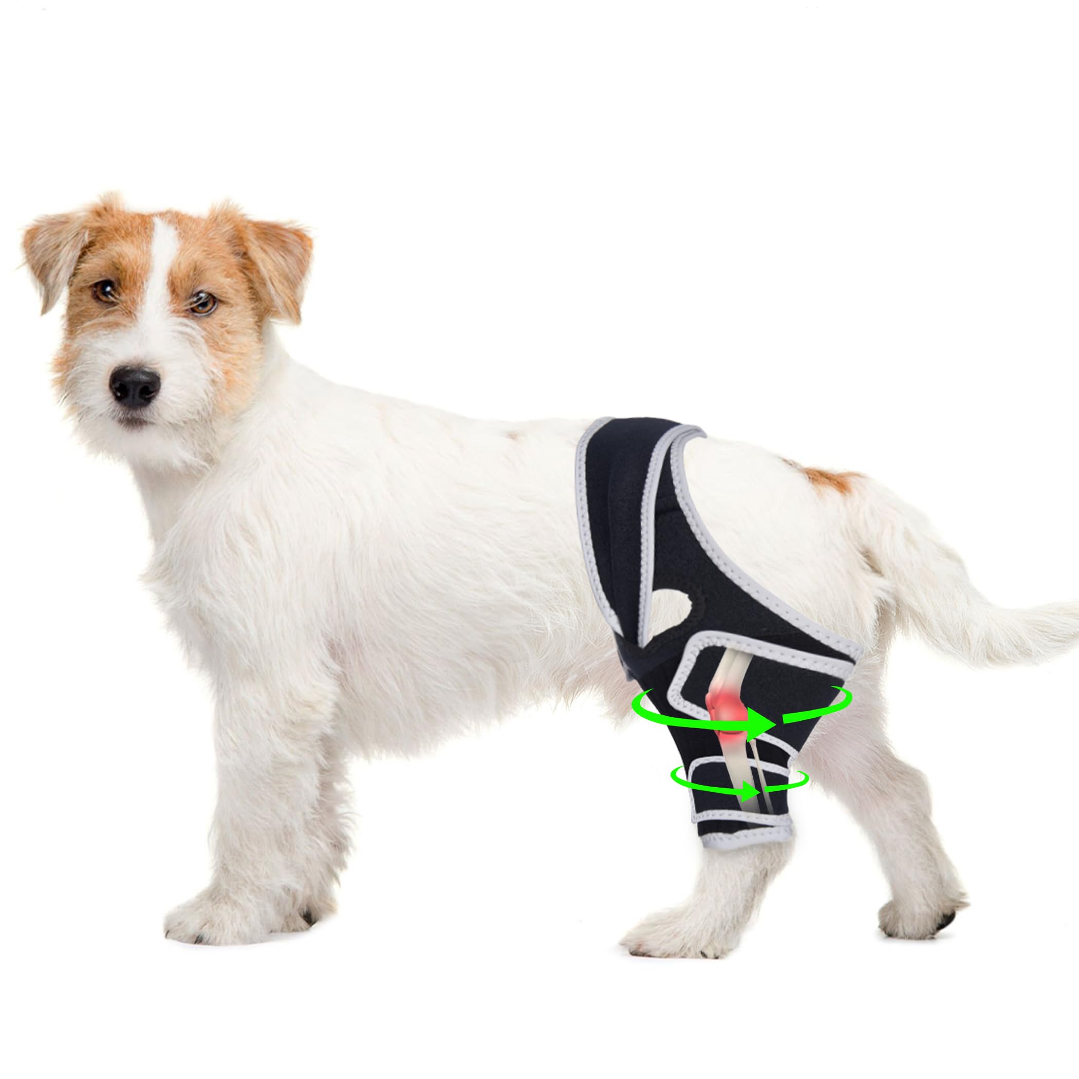 Photo 1 of Dog Knee Brace for Torn ACL Hind Leg, Rear Leg or Front Legs, Dog Knee Wrap for Luxating Patella, Help Relief Pain CCL, S