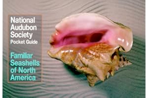 National Audubon Society Pocket Guide to Familiar Seashells