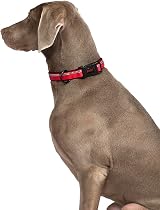 Halti Collar Premium Comfy Nylon Neoprene Padding Reflective Red Size S view 3