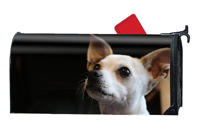 chihuahua muzzle amazon
