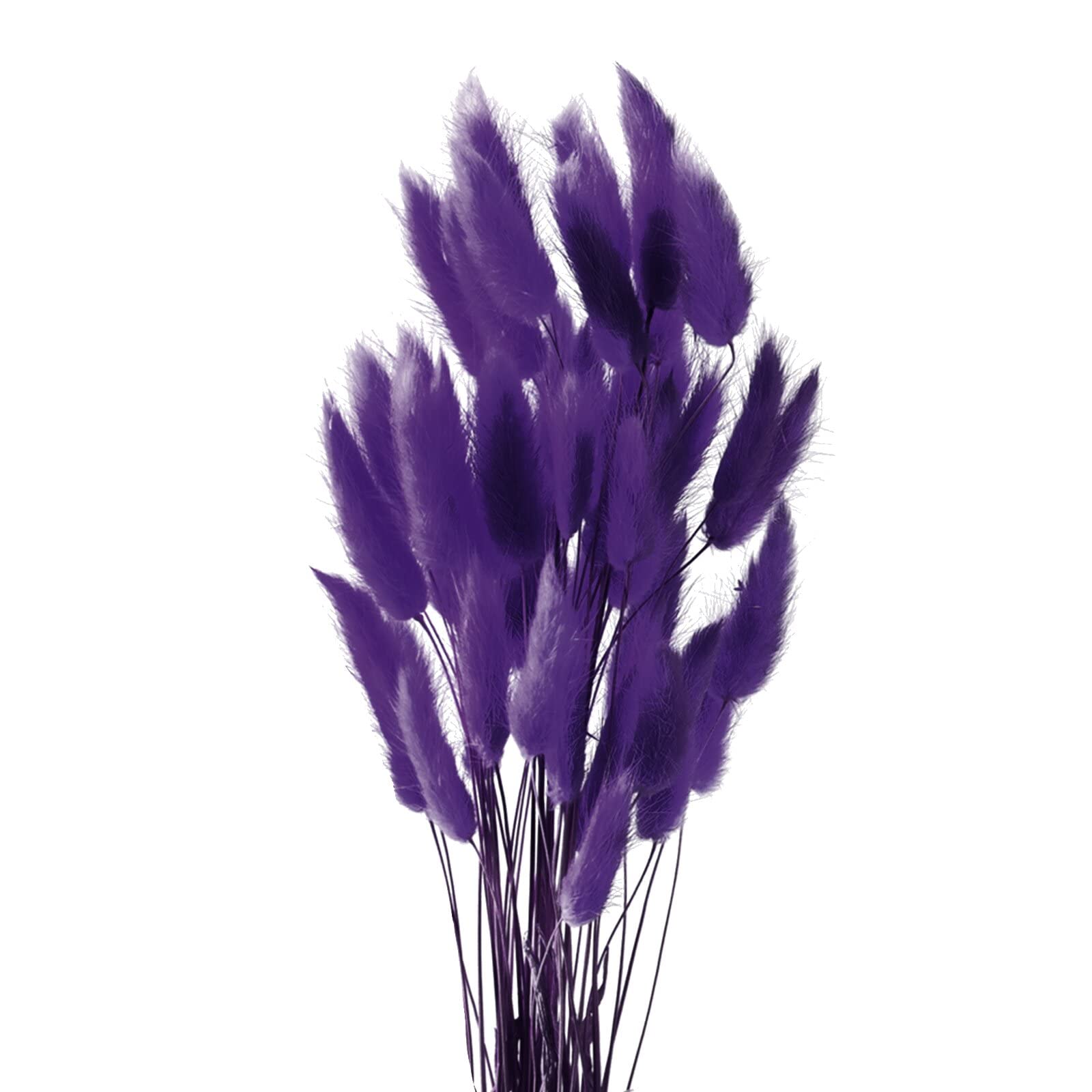 Diyxisk Pampas Grass Bouquet,50 Pcs Natural Phragmites Dried Flowers,Bunny Tail Grass Boho Decor,Suitable for Vase Wedding Dining Table Room Home Decor Accessories Living Room（Deep Purple）