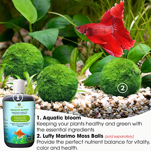 Aquatic Bloom -Liquid Plant Fertilizer for Aquariums-3.5 oz.(100 ml) Organic Ready-to-use Formula -Healthy & Happy Freshwater Plants - 70+ Essential Vitamins, Minerals, Macro & Micronutrients
