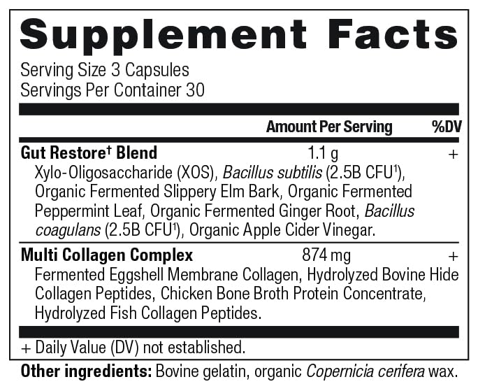 Ancient Nutrition Collagen Pills with Probiotics for Gut Health, Multi Collagen Capsules Gut Restore 90 Ct, Supports Gut, Joints, Hair & Nails, Gluten Free, Paleo and Keto Friendly