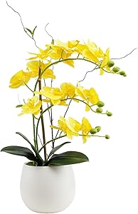 Artificial Orchid Flower Arrangements Artificial in Vase Phalaenopsis Yellow Flowers, Fake Orchids Artificial Plants Faux Flowers for Decoration Home Office Party Table Decor