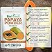 Biofinest Papaya Powder - 100% Pure Freeze-Dried Antioxidants Superfood -USDA Certified Organic Vegan Raw Non-GMO - Boost Digestion Weight Loss - for Smoothie Beverage Blend (4 oz Resealable Bag)