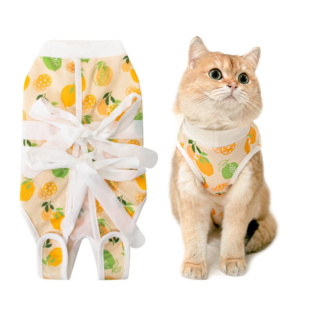 HanryDong Cat Recovery Suit after Neutered Surgery, Small Dog Professional Surgical Bandage Shirt with Breathable Baby Cotton, E-Collar Alternative Elastic Costume for Abdominal Wound/Weaning (size 4)