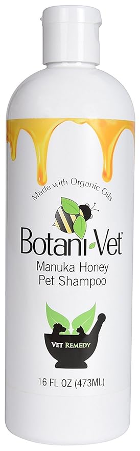 spray dog with water bottle