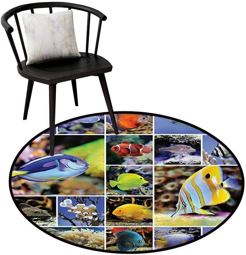 Home Round Rug Tropical Fish Can be Folded Collage of Underwater Photos with Collection of Sea Animals Theme and Decorating Art Print for Bathroom D47(120cm)