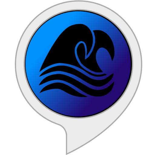 Global Tide Info Amazon Fr Skills Alexa