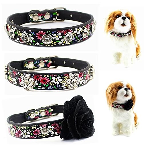crystal dog collar