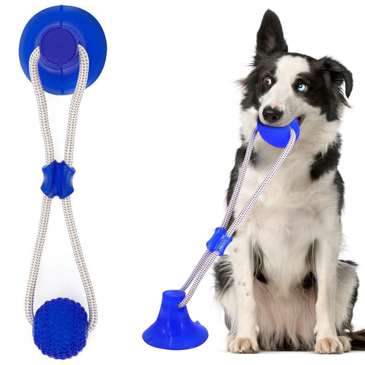 suction cup dog rope