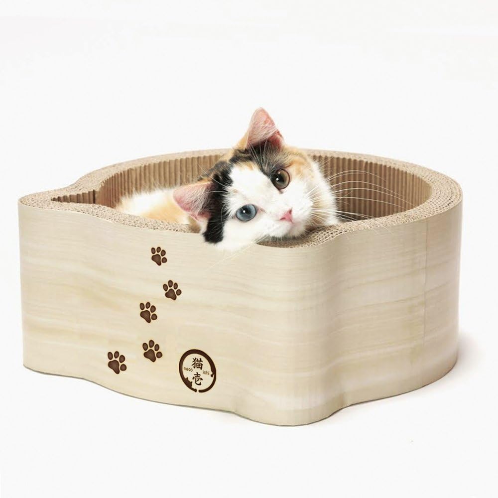 Best cardboard furniture for cats