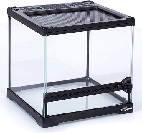 reptizoo glass terrarium
