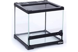 REPTIZOO Mini Reptile Glass Terrarium Tank 8"x8"x8", Front Opening Door Full View Visually Appealing Mini Reptile or Amphibians Glass Habitat