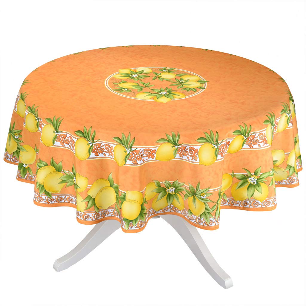 Best vintage citrus table cloth
