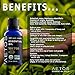 Aetos Organic Tea Tree Oil, USDA Certified Organic Essential Oils, Non GMO, 100% Pure, Natural, Therapeutic Grade Essential Oil, Best Aromatherapy Scented-Oils for Home, Office, Personal Use - 1 Oz