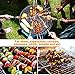 ADSDIA Kabob Skewers, 14'' Barbecue Skewers Stainless Steel Skewers Flat Metal Skewers for Grilling with Portable Storage Tube (20 PCS)