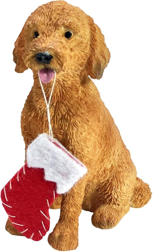 multi colored goldendoodle