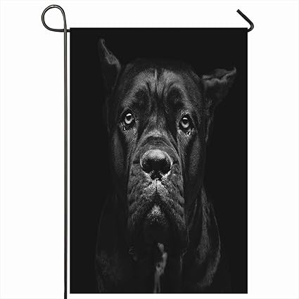 Amazoncom Ahawoso Outdoor Garden Flags 28x40 Inch Eyes