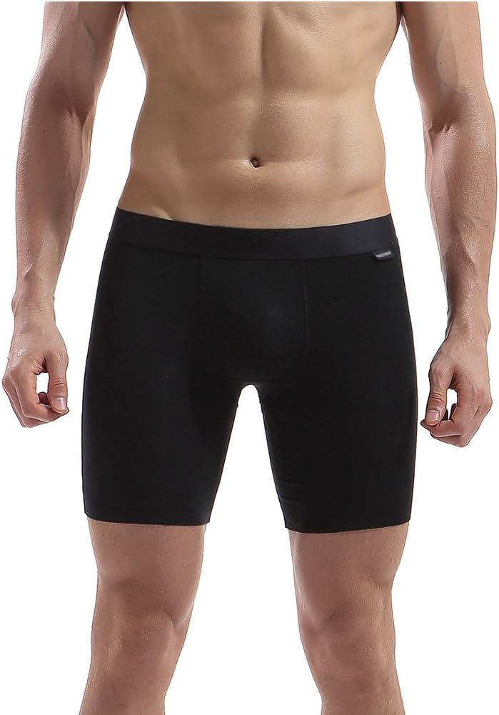 AIWENSI Men's Underwear 2-Pack Zero Formaldehyde Micro Modal Boxer Briefs (FreeCutting-Tech, Long Leg)