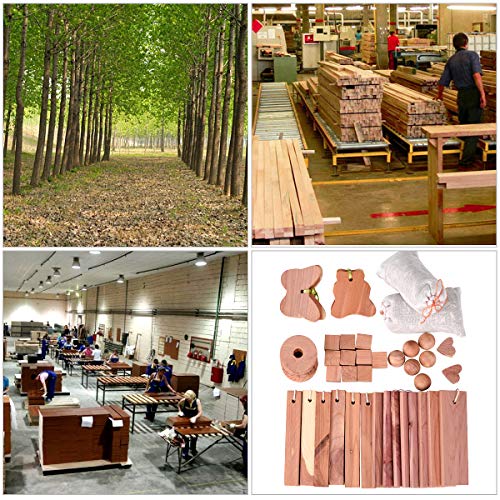 JRing Aromatic Cedar Blocks Organic Cedar Balls Wood Hanger for Closets and Drawers Set of 42 with Sandpaper